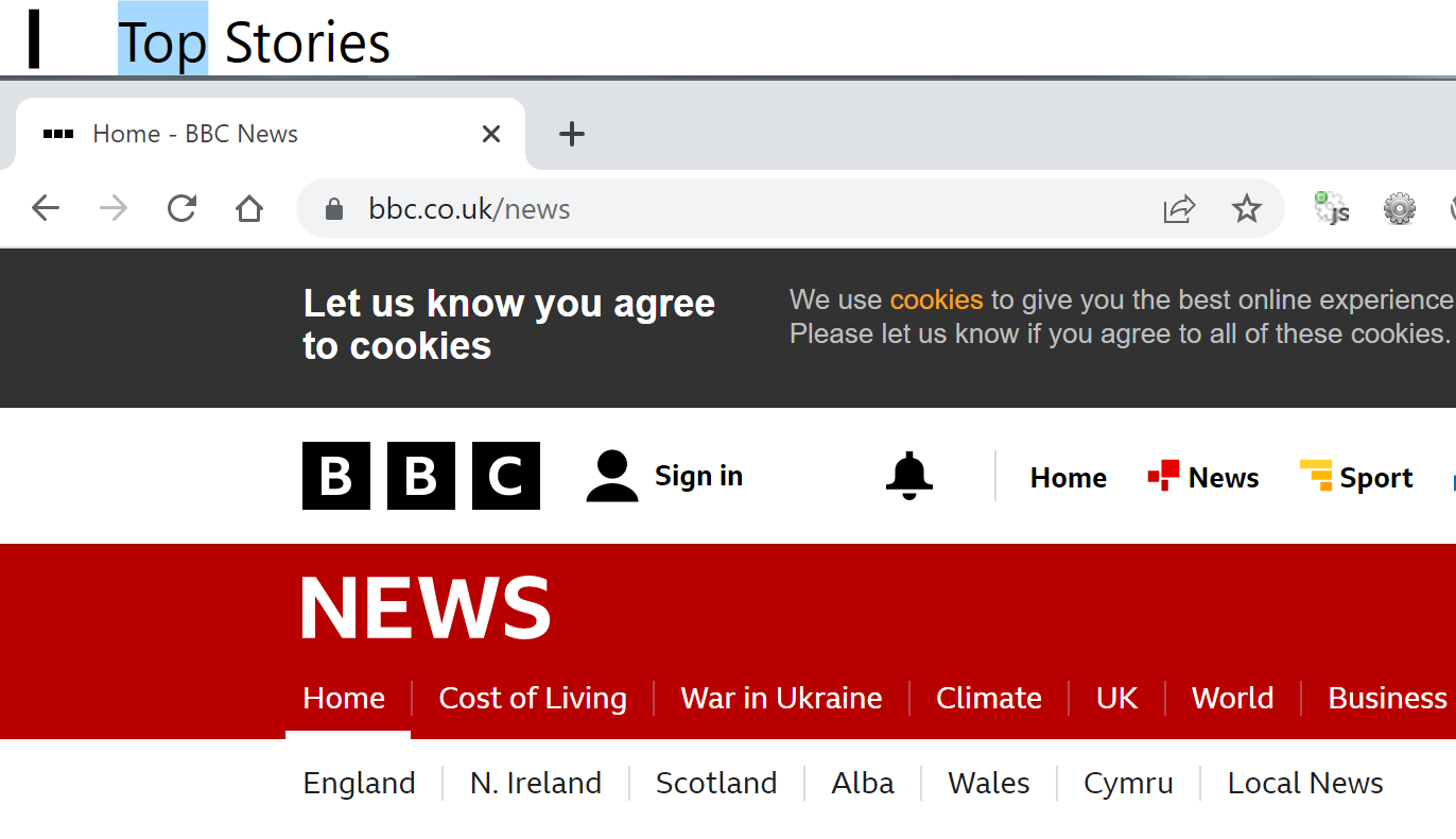 The JAWS text viewer in use on the BBC website