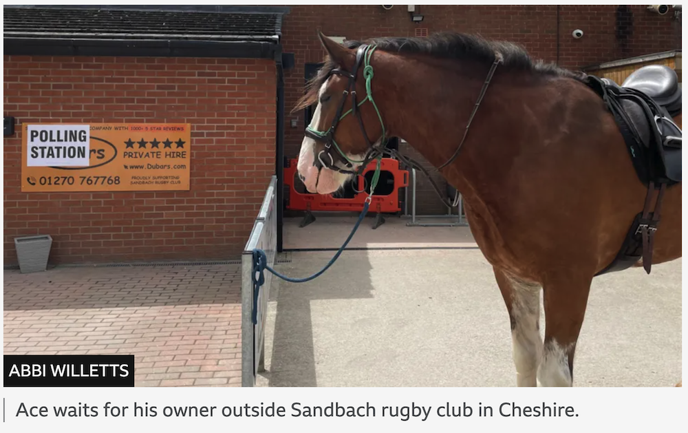 an image of a horse outside a polling station. The caption underneath reads ‘Ace waits for his owner outside Sandbach rugby club in Cheshire’.